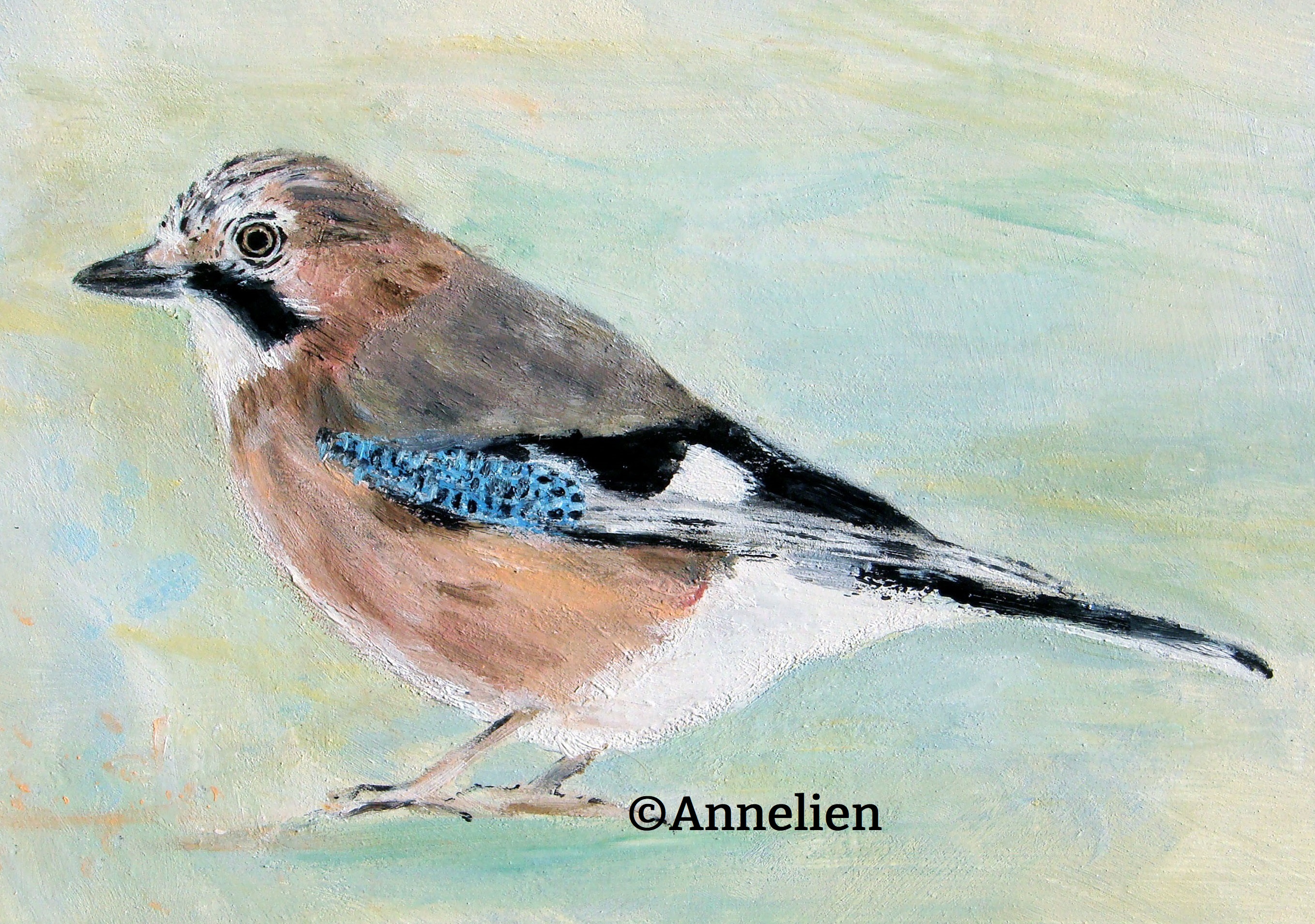 107.-Vlaamse-gaai-portret