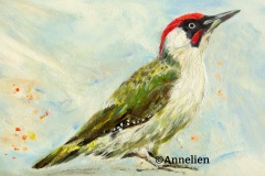 106.-GroeneSpecht