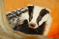 Badger-portrait