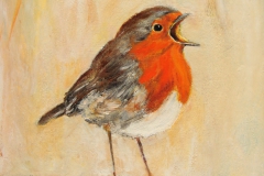 14. Zingende Roodborst 