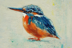 16. IJsvogel 