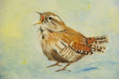 12. Zingende winterkoning 