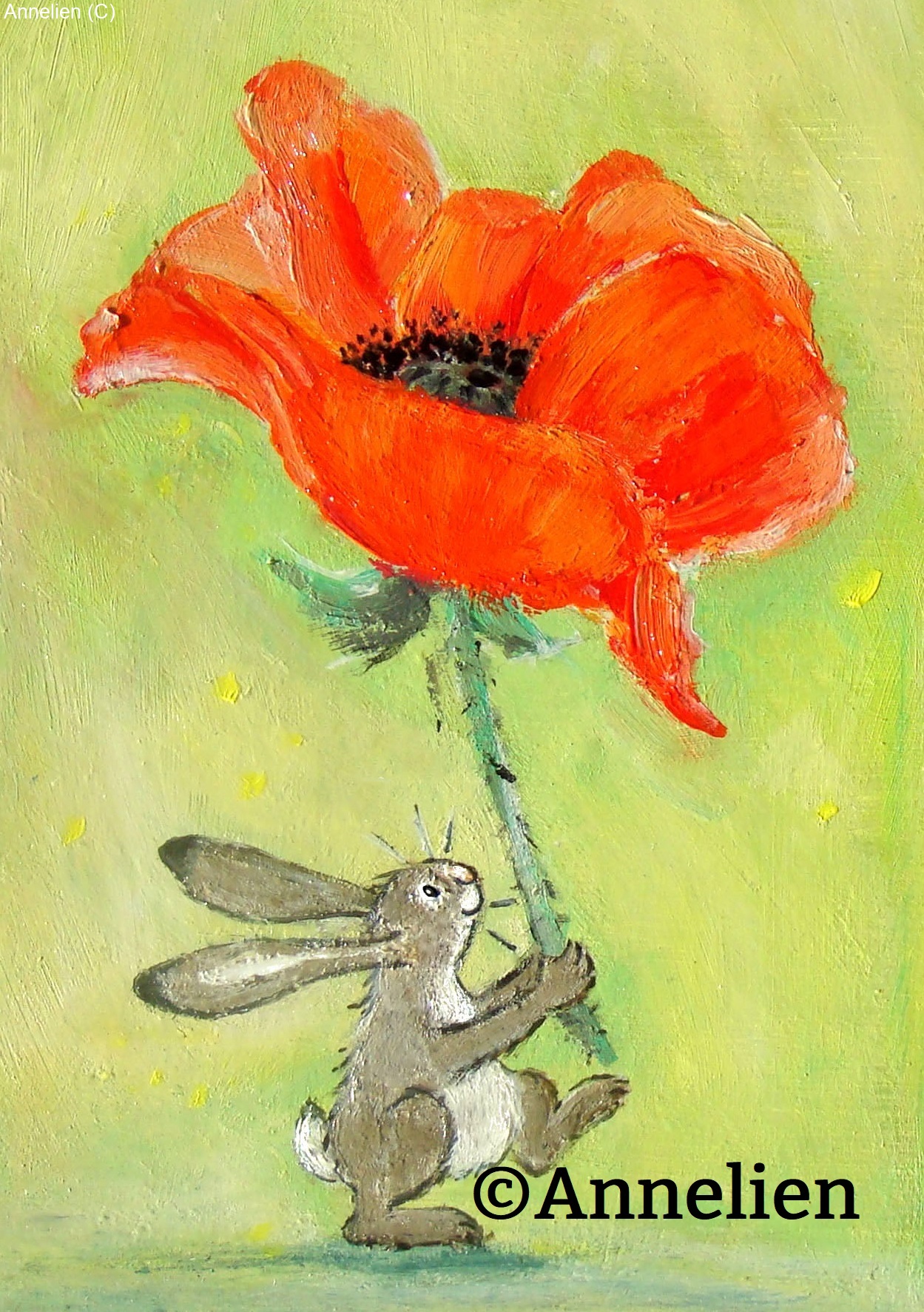109.-Papaver