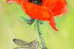 109.-Papaver 109.-Papaver